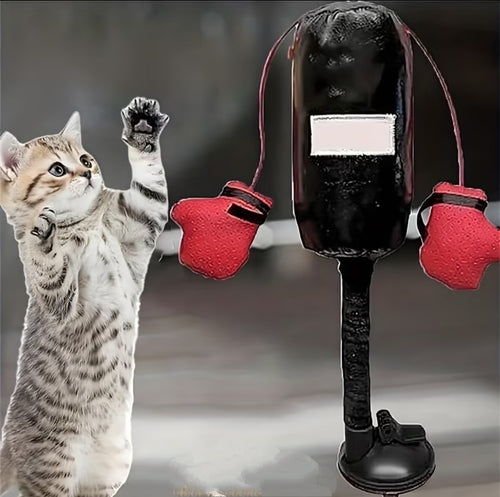 Boxing Pawn